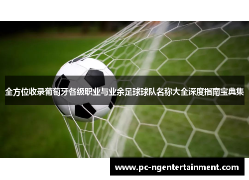 全方位收录葡萄牙各级职业与业余足球球队名称大全深度指南宝典集