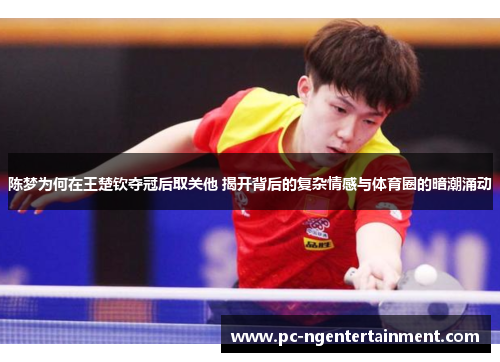 陈梦为何在王楚钦夺冠后取关他 揭开背后的复杂情感与体育圈的暗潮涌动 陈梦为何在王楚钦夺冠后取关他 揭开背后的复杂情感与体育圈的暗潮涌动