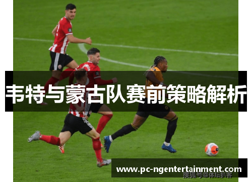 韦特与蒙古队赛前策略解析 韦特与蒙古队赛前策略解析